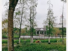 -映月湖公园