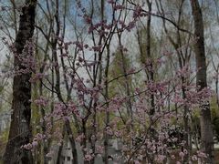 -长春世界雕塑园冰雪艺术天地