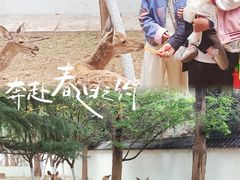 -观唐（国际）度假村温泉