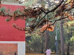-清东陵