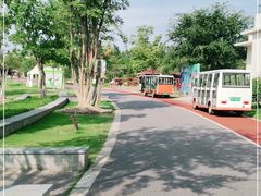 -上海长兴岛郊野公园