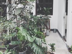 -素咫咖啡CLIFEROSE
