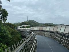 -福道