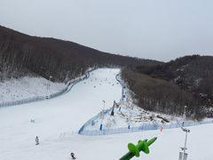 -密苑云顶乐园(云顶滑雪场)