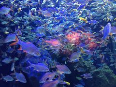 -成都浩海立方海洋公园