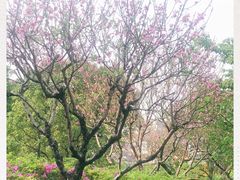-乌山风景区