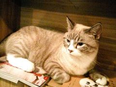 -有何Book(六堰体育馆店)
