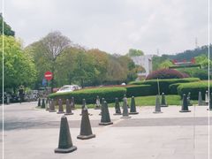 -中山市树木园
