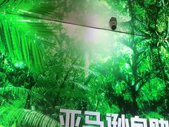 -亚马逊海鲜自助(梅溪湖步步高店)