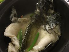 -ZF Seafood Restaurant 卓峰海鲜餐