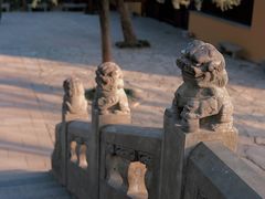 -虎丘湿地公园