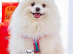 -金茂览秀城