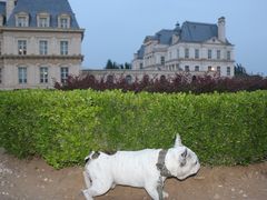 -北京拉斐特城堡酒店