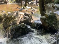 -石台牯牛降景区