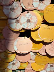 -Zoolung Zoolung动物主题公园(海信广场店)