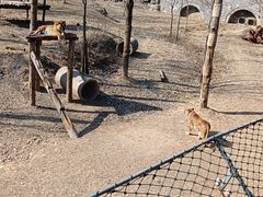 -济南野生动物世界