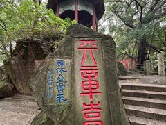 -乌山风景区