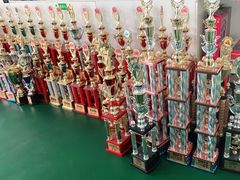 -长春乐奇平衡车儿童体能运动中心