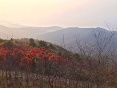 景点-缥缈峰景区