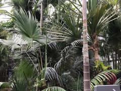 -国家植物园南园