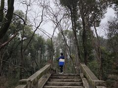-青龙山国家森林公园