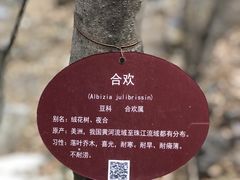 -北京上方山国家森林公园
