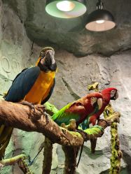 -Zoolung Zoolung动物主题公园(海信广场店)