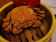 -凯菲厅海鲜姿造·海鲜自助·帝王蟹·龙虾(成都群光君悦酒店)