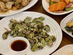 -魚當家