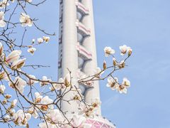 -上海港国际客运中心