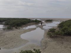 -北海金海湾红树林生态旅游区