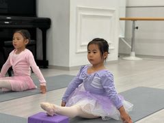 -星光舞蹈艺术中心•芭蕾舞•中国舞(太阳宫校区)