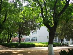 -山东师范大学(千佛山校区)