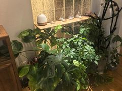 -沐森 •疗愈头疗馆(打浦桥店)