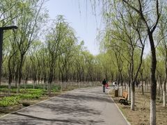 -东郊湿地公园