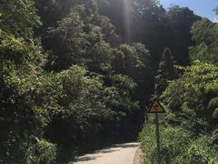 -水墨汀溪风景区