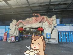 -合肥海洋世界