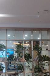 点击看大图 -碧莲盛·不剃发植发