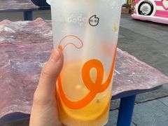 -CoCo都可(高新新力店)