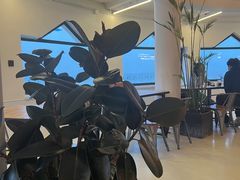 -ChanDu躔度咖啡(灯塔店)