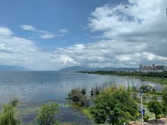 -野菌皇海景野生菌火锅(滨海大道店)