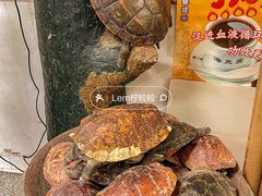 -海天堂(玉带濠店)