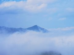 -武陵山森林公园