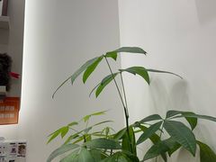 -海马体家庭照相馆(深圳笋岗万象食家家庭店)