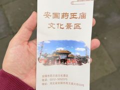 -药王庙(安国市)