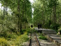 -合肥滨湖国家森林公园