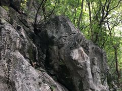 -九曜山