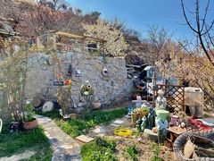 -荒度咖啡(北九水店)