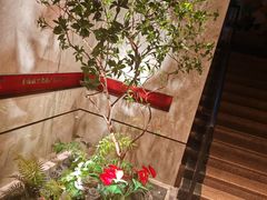 -山东八大碗山东老字号