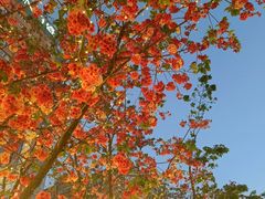 -南屏步行街